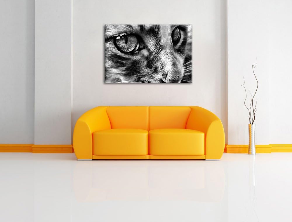Pixxprint kleine Katze im Seitenprofil als Leinwandbild/Grösse: 100x70 / Wandbild/Kunstdruck/fertig