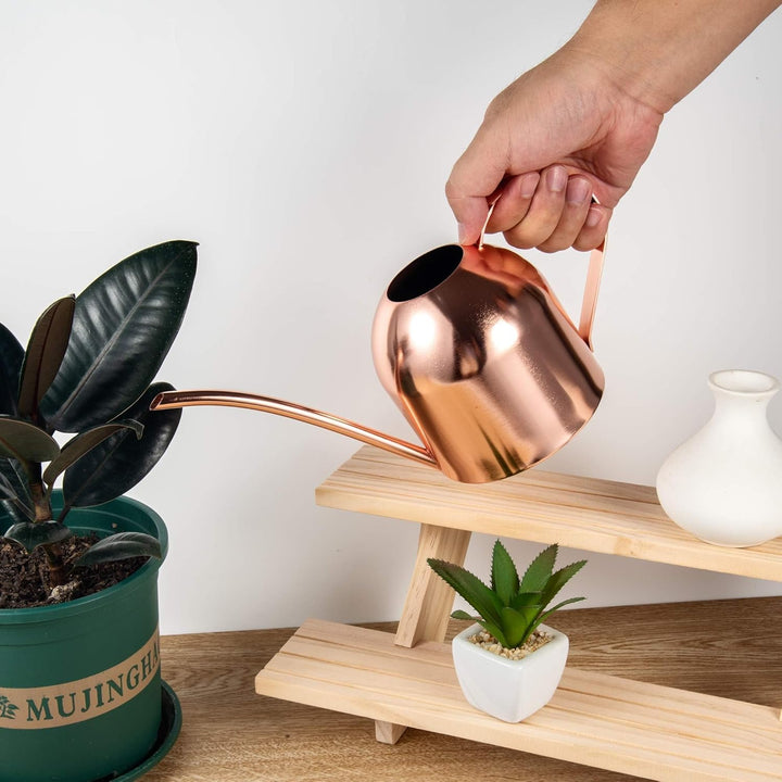 IMEEA 1L Giesskanne，Blumengiesskanne Edelstahl mit Langer Auslauf Moderner Giesskanne für Pflanzen Z