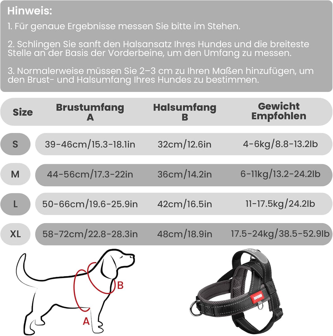 Hundegeschirr mit Leine für Mittelgrosse Kleine Hunde Welpen, Bunt Farbblock Geschirr, Mesh Gepolste
