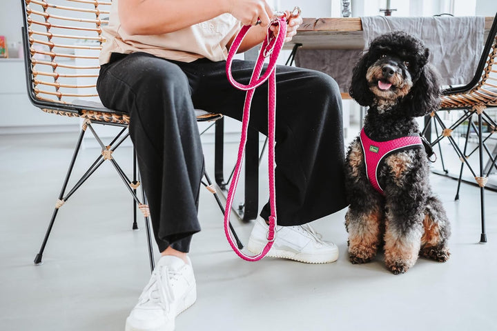 Hunter Hundegeschirr Hilo Comfort, Farbe: pink, Easy Step-In Geschirr für kleine bis mittlere Hunde,