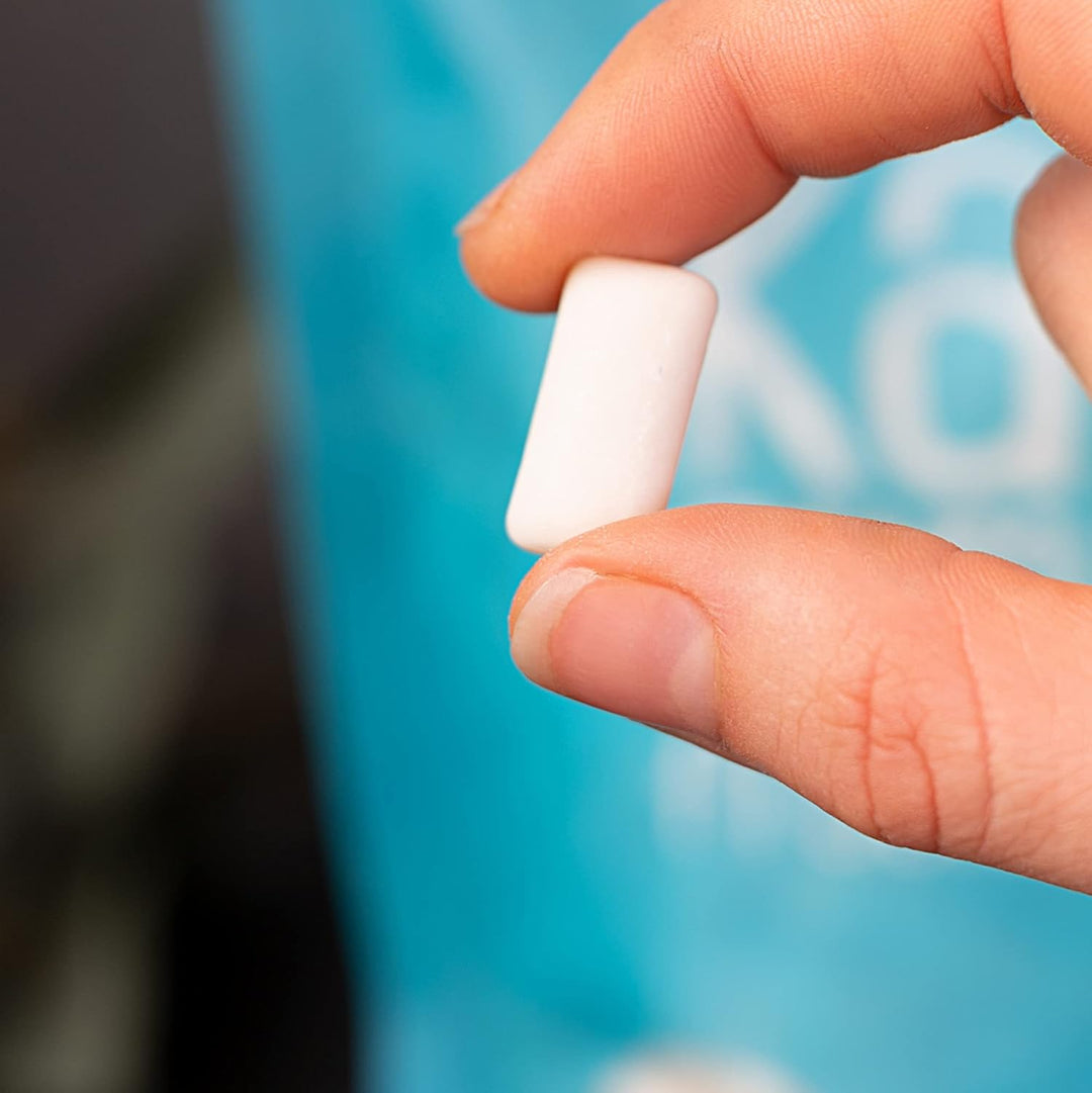 Xucker Zuckerfreie Zahnpflege Kaugummis - Xylit Kaugummis zuckerfrei mit Freshmint Geschmack I Vegan