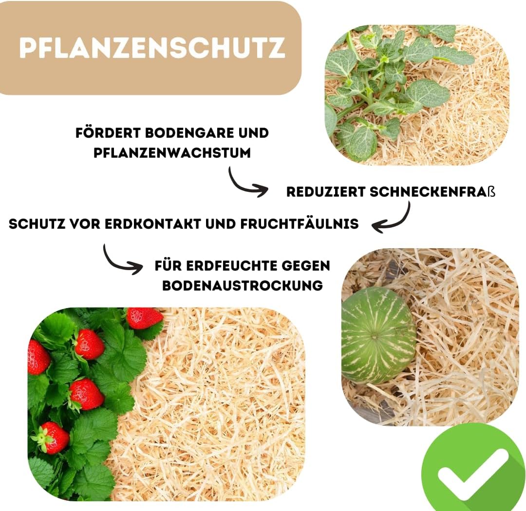 10 Kilogramm (Kg) Holzwolle | Natur | Erdbeerholzwolle | In Deutschland hergestellt | Ideal als Füll