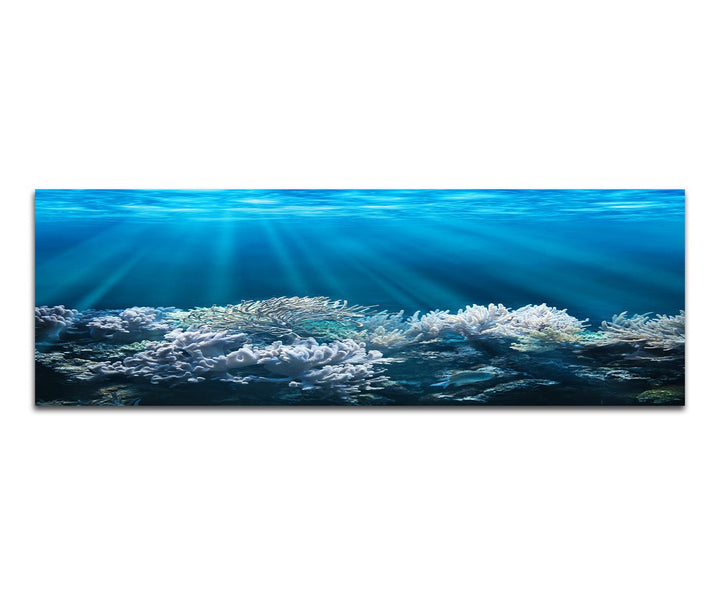 Paul Sinus Art Panoramabild auf Leinwand und Keilrahmen 150x50cm Meer Unterwasser Korallen Sonnenstr