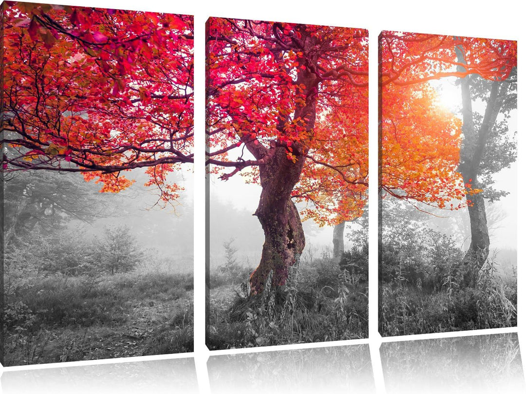 Zauberhafte Waldlandschaft schwarz/weiss 3-Teiler Leinwandbild 120x80 Bild auf Leinwand, XXL riesige