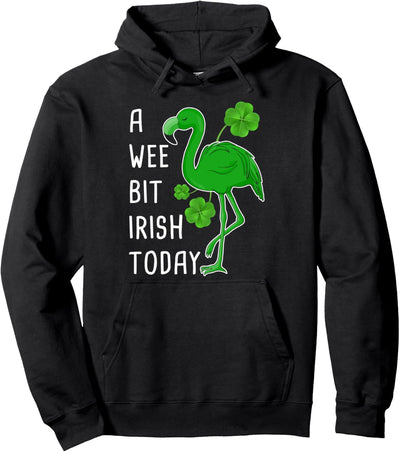 A wee bit irish today Pullover Hoodie