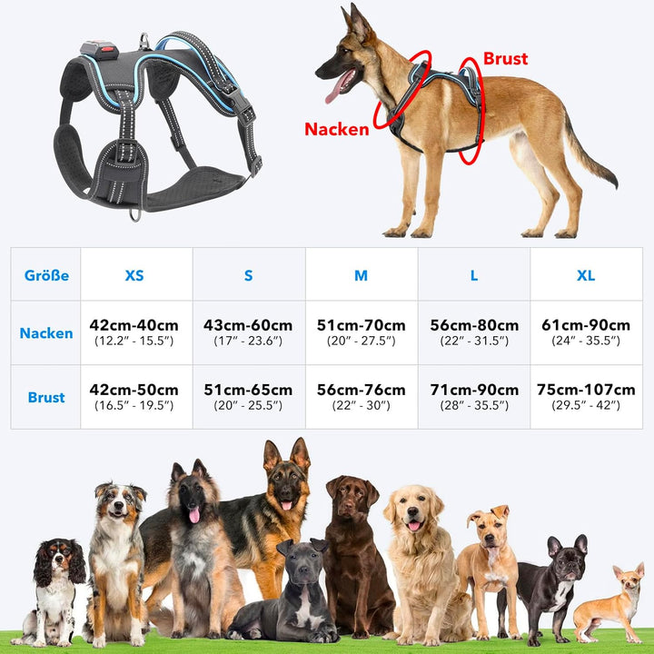 Hundegeschirr Leuchtend Wiederaufladbares Leuchtgeschirr für Hunde Led Beleuchtetes Hundegeschirr fü