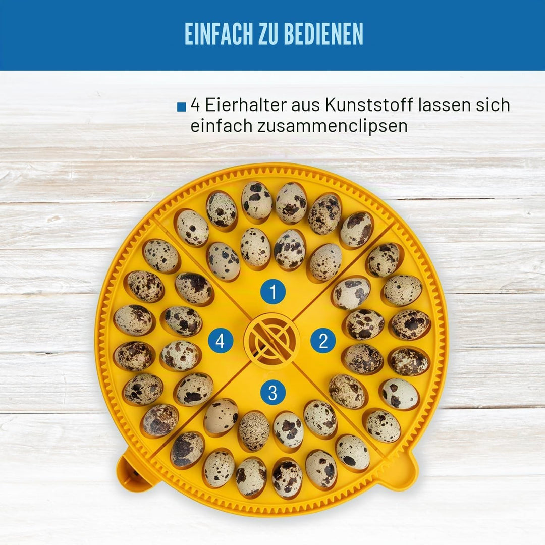 Brinsea Products Maxi Advance Inkubator, kleines Eierviertel, 40 Wachteleier, Gelb