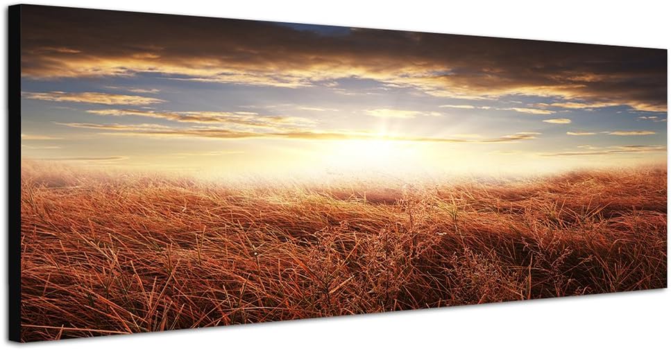 Paul Sinus Art Panoramabild auf Leinwand und Keilrahmen 150x50cm Feld Herbst Sonnenuntergang Wolken