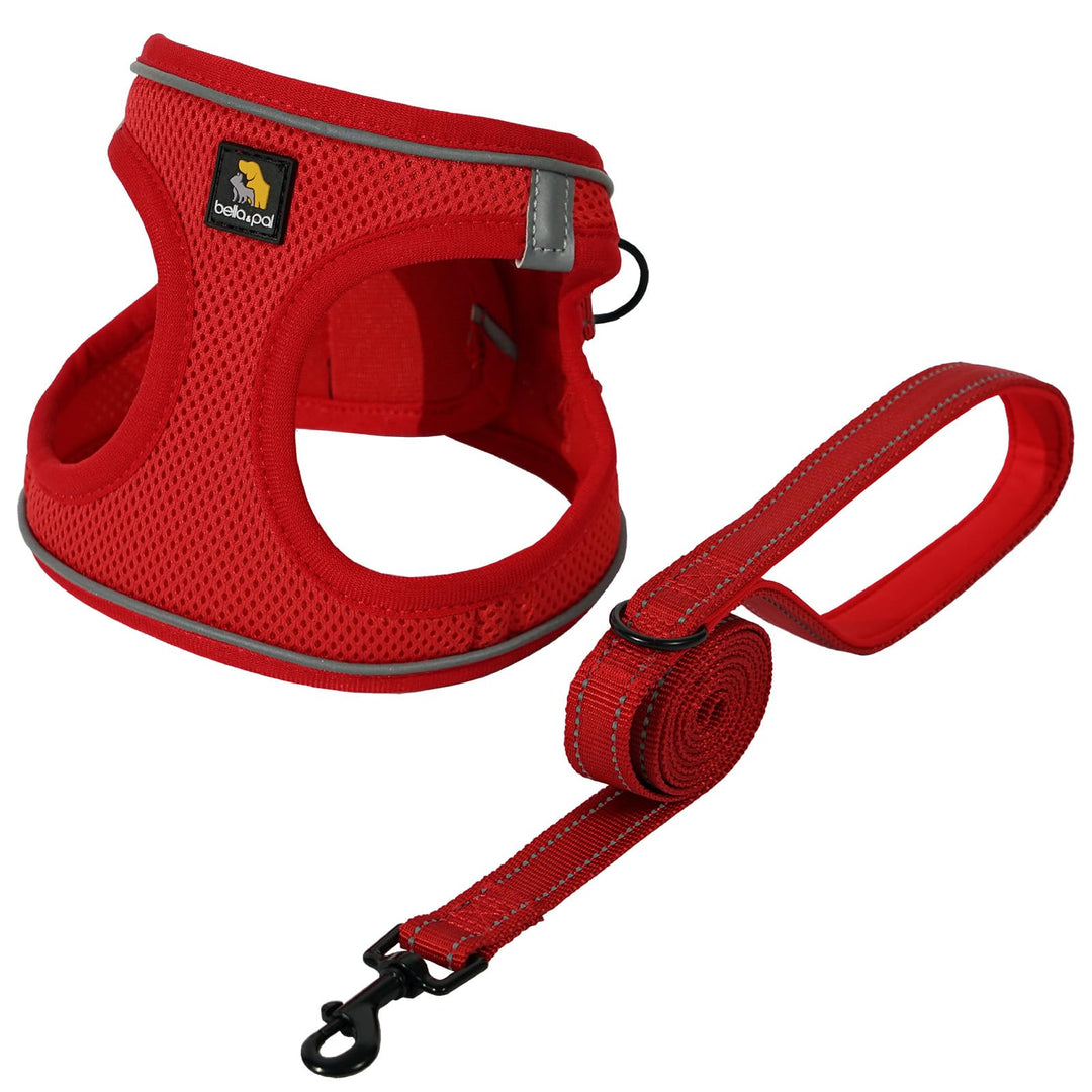 BELLA & PAL Hundegeschirr Kleine Hunde mit Leine, Step-in Geschirr aus Air Mesh, Anti Zug Reflektier
