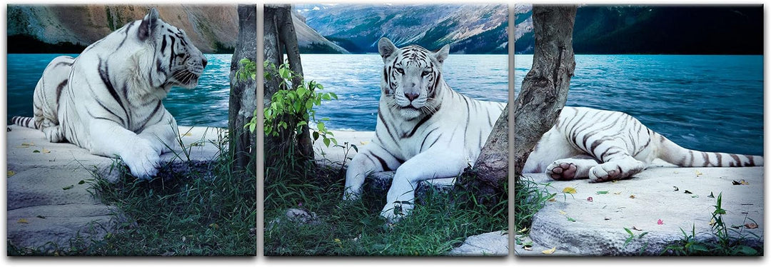 Bilderdepot24 Bild auf Leinwand | Tiger II in 160x50 cm als Panorama Wandbild XXL | Wand-deko Dekora