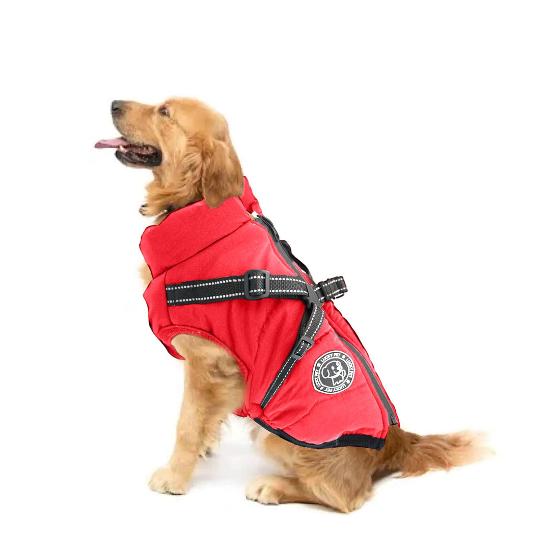 Hundemantel für Kleine Hunde Wasserdicht,Hundemantel mit Geschirr, Winterjacken & Wintermäntel für H
