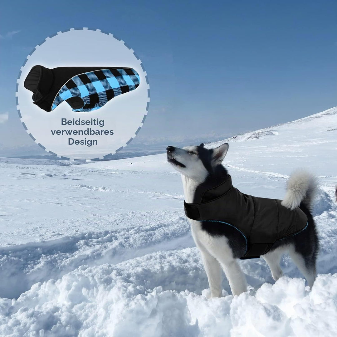 CITÉTOILE Warme Hundemantel Winter, Hundemantel mit Bauchschutz, Wintermantel für Hunde mit Reflekti