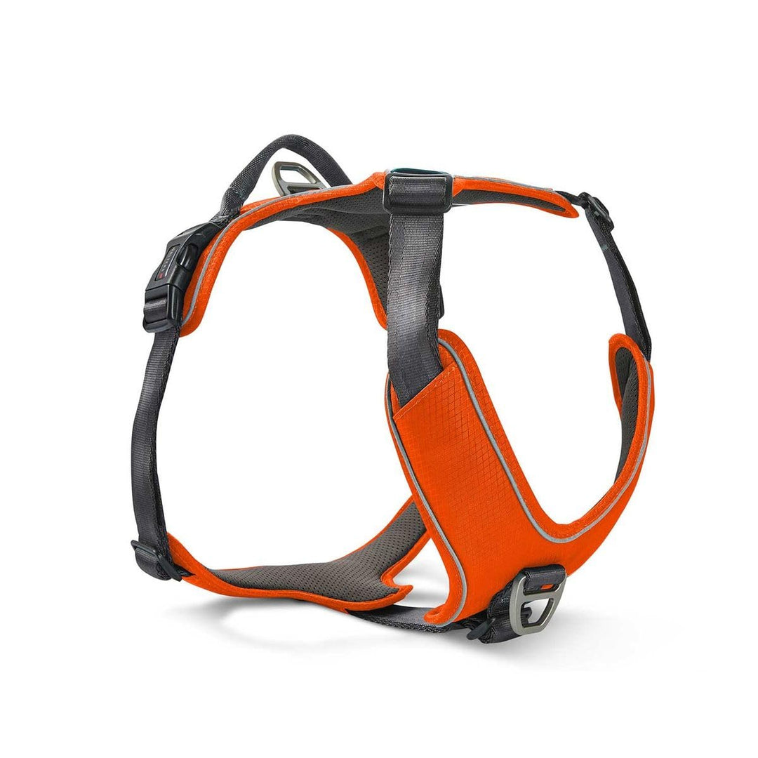 WOLTERS Geschirr Active Pro Comfort, Grösse:45-52.5 cm, Farbe:rot orange/anthrazit 45 - 52.5 cm rot