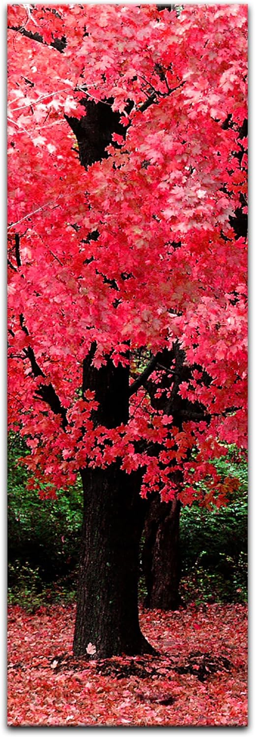 Bilderdepot24 Bild auf Leinwand | Herbst Abstrakt in 30x90 cm als Panorama Wandbild | Wand-deko Deko