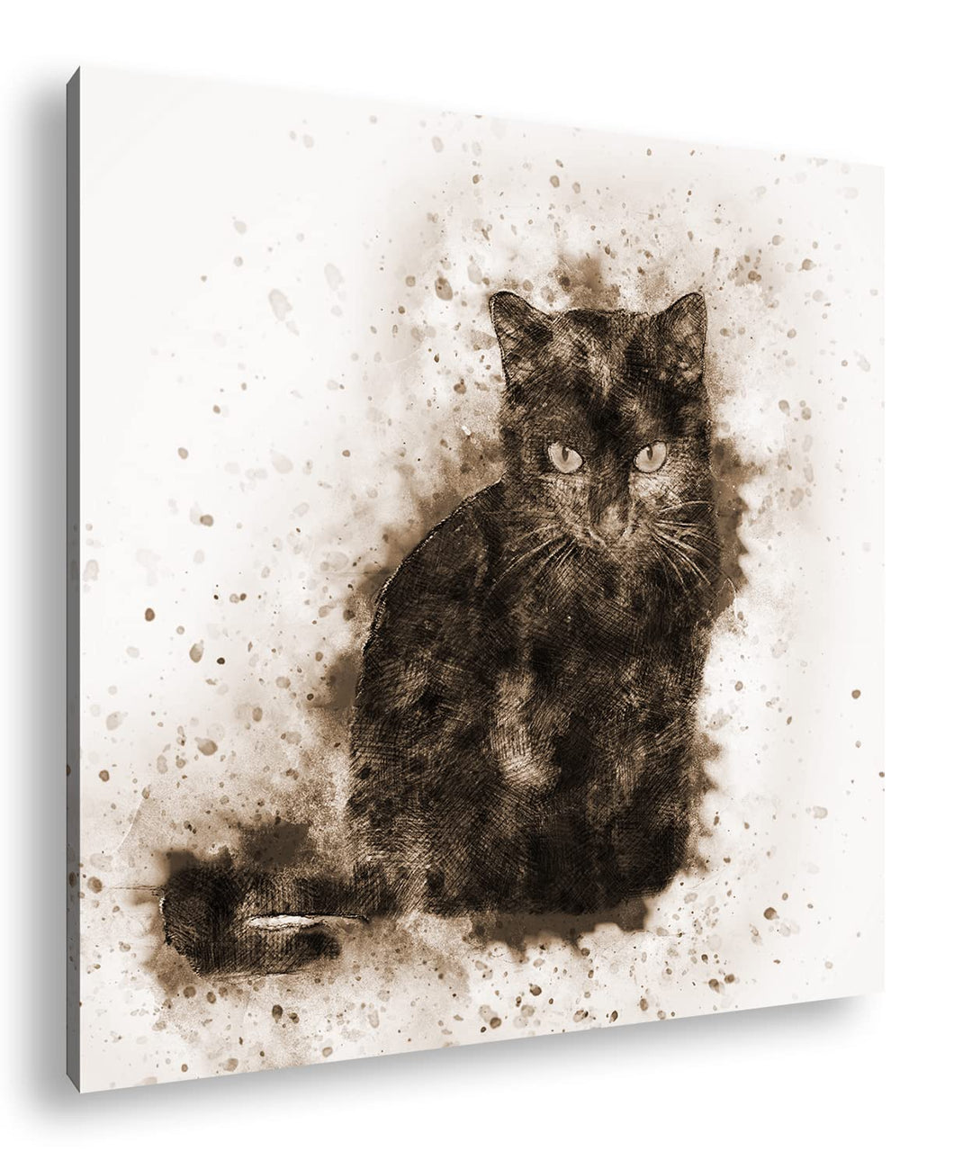 Katze Hauskatze Format: 60x60 Effekt: Sepia als Leinwandbild, Motiv fertig gerahmt auf Echtholzrahme