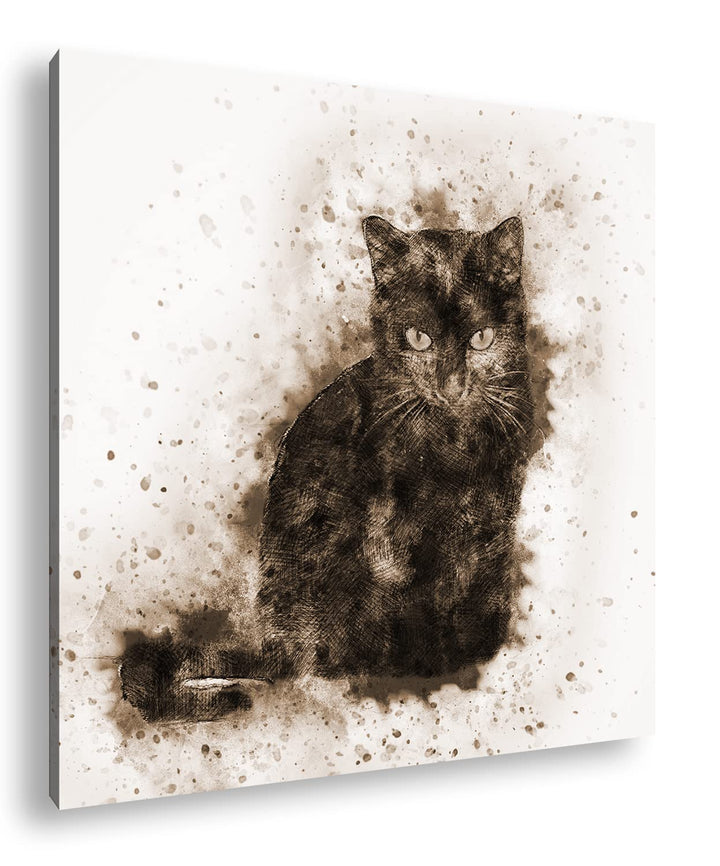 Katze Hauskatze Format: 60x60 Effekt: Sepia als Leinwandbild, Motiv fertig gerahmt auf Echtholzrahme