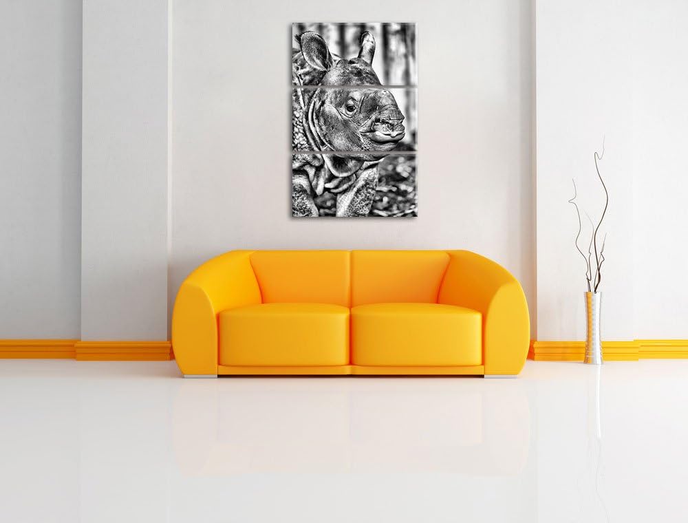 Pixxprint schönes Nashornjunges als Leinwandbild/Grösse: 3 Teilig (120x80) cm/Wandbild/Kunstdruck/fe