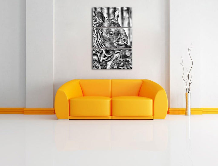 Pixxprint schönes Nashornjunges als Leinwandbild/Grösse: 3 Teilig (120x80) cm/Wandbild/Kunstdruck/fe