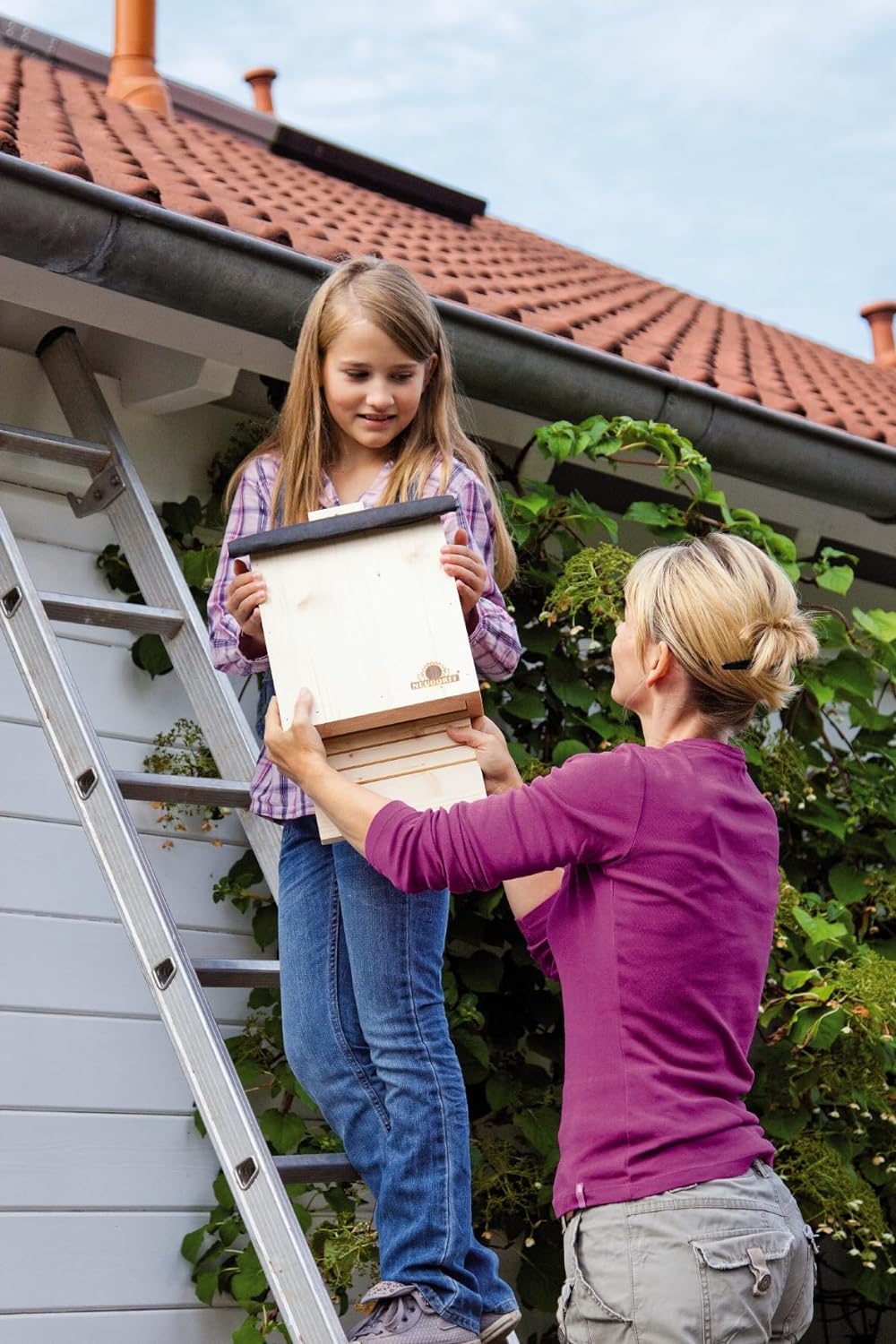 Neudorff 33432 Fledermausquartier