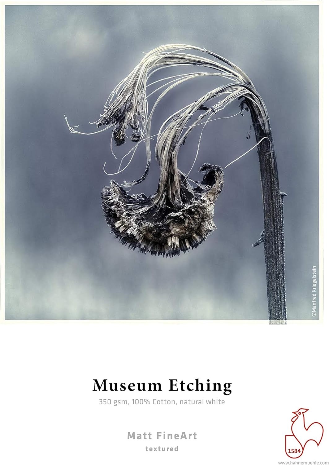 Hahnemühle 10640771 Digital FineArt Museum Etching Photo Cards, 10 x 15, 100 x 150 mm