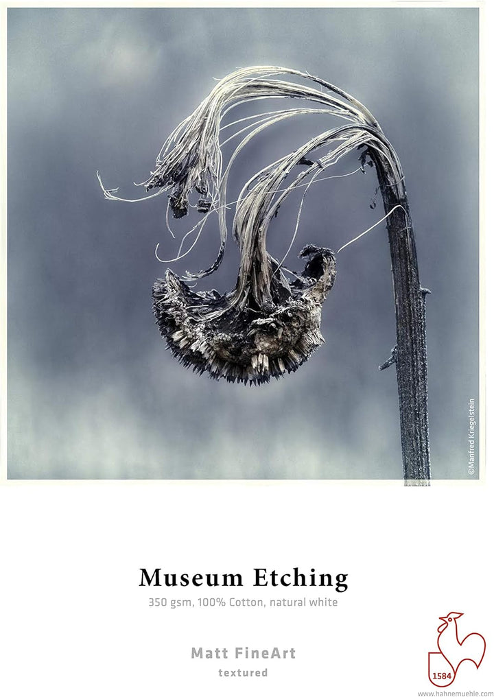 Hahnemühle 10640771 Digital FineArt Museum Etching Photo Cards, 10 x 15, 100 x 150 mm