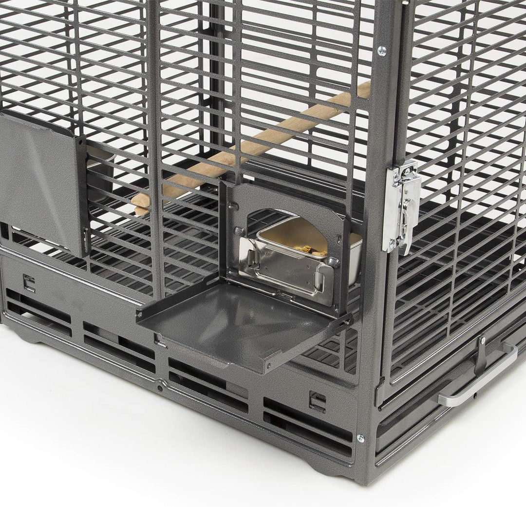Montana Cages | Transportkäfig EVO für Sittiche &amp; Papageien - Antik | Transportkäfig &amp; Reisekäfig Sc