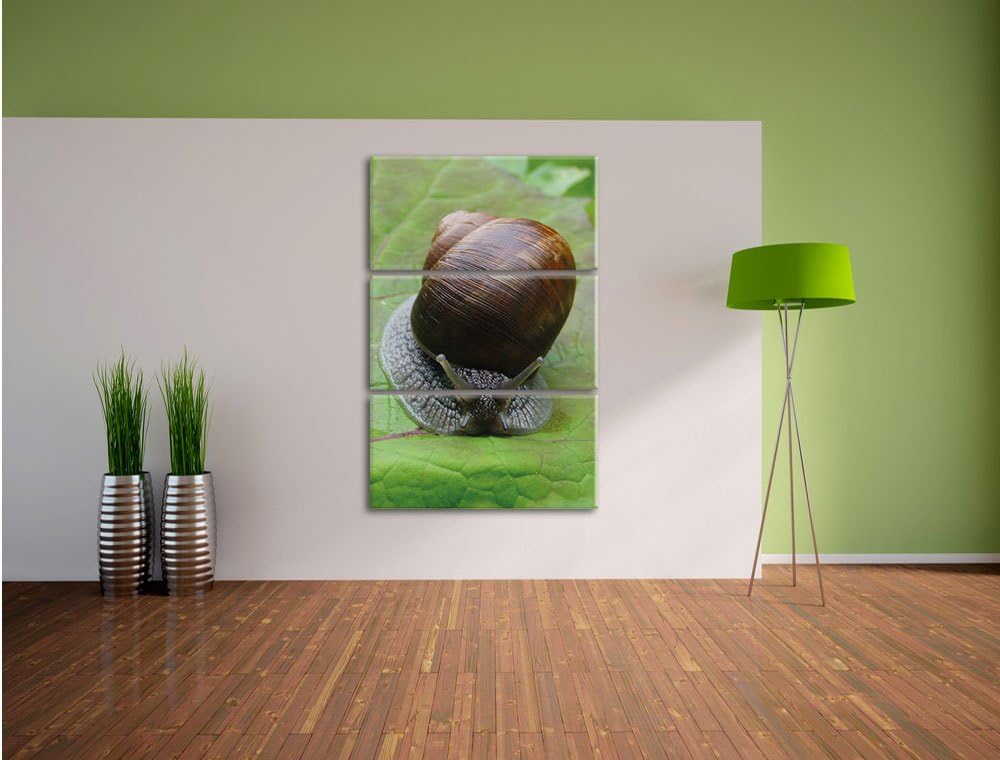 Pixxprint Weinbergschnecke auf Blatt 3-Teiler Leinwandbild 120x80 Bild auf Leinwand