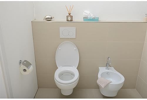 Geberit 115770115 Betätigungsplatte Sigma01, Kunststoff für 2-Mengen-Spülung 1 Stück Weiss, Weiss