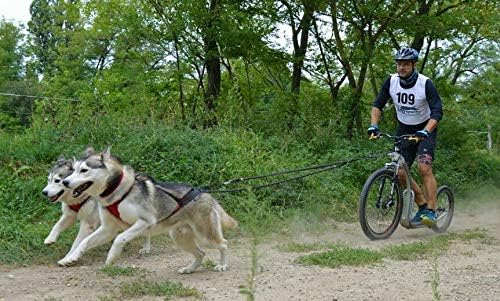 Northern Howl Power Race Hunde Zuggeschirr, verstellbar, Rücken frei, Bikejöring Dogscooting Schlitt