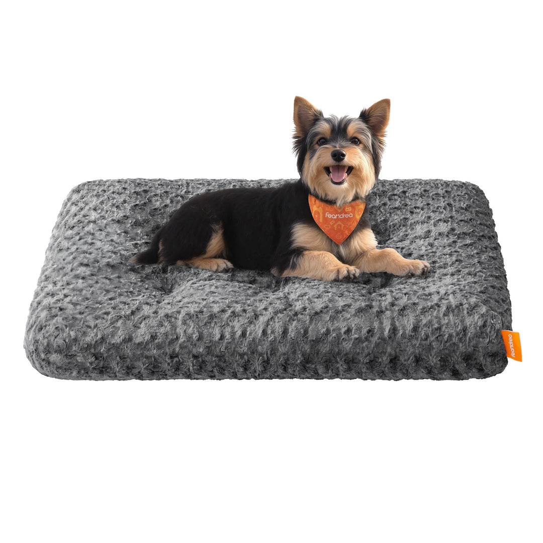 Feandrea Hundebett, Hundekissen M, für kleine Hunde, Flauschige Hundematte, Plüsch, 80 x 50 cm, weic