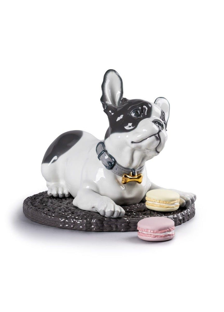 LLADRÓ French Bulldog with Macarons Dog Figurine. Bulldogge. Porzellan.