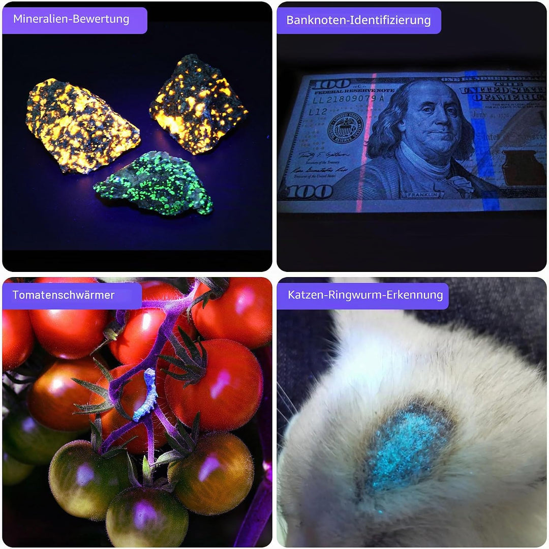 DARKBEAM UV Taschenlampe 365nm Schwarzlicht und 395nm Licht Aufladbar USB, Mini Ultraviolett LED Lic