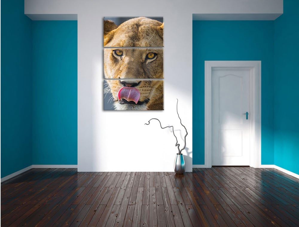 Pixxprint anmutige Löwin 3-Teiler Leinwandbild 120x80 Bild auf Leinwand