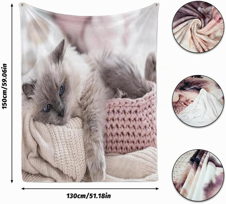 Kuscheldecke Mit Katzenmotiv 130x150cm, Sofa Decke Mit Tiermotiv, Weiche Warme Fleecedecke für Erwac
