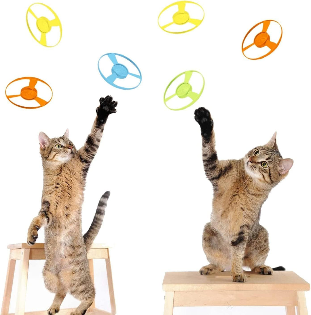 Gamrong Katze-Spielzeug Cat Fetch Toy Haustier Spielzeug für Katze, Cat Toy Sets 4 Launchers und 20