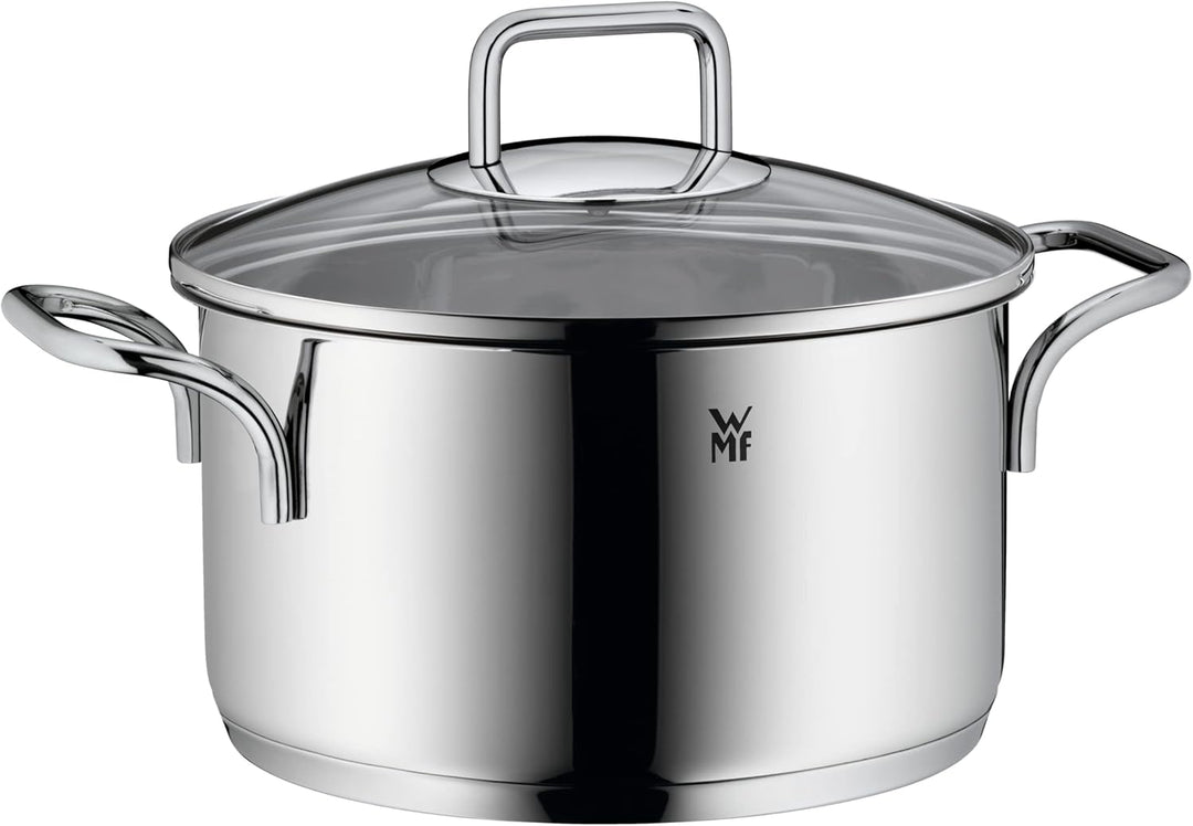 WMF Kochtopf gross 20cm mit Deckel, Fleischtopf Induktion, Cromargan Edelstahl poliert, spülmaschine
