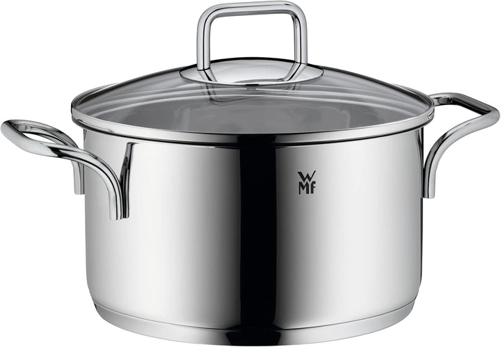 WMF Kochtopf gross 20cm mit Deckel, Fleischtopf Induktion, Cromargan Edelstahl poliert, spülmaschine