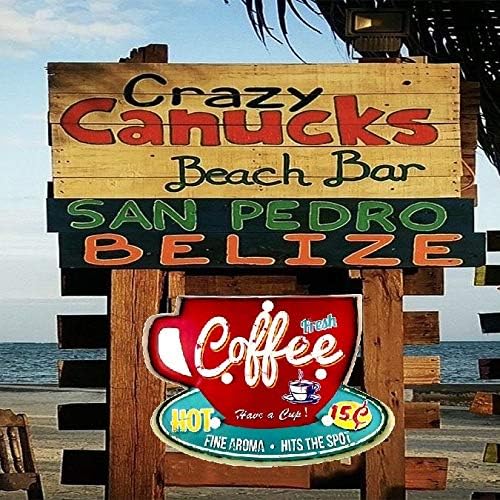 DiiliHiiri Leuchtschild Retro-Schild Wandschild im Vintage-Stil LED Schild für Cafe Pub Dekoschild Z