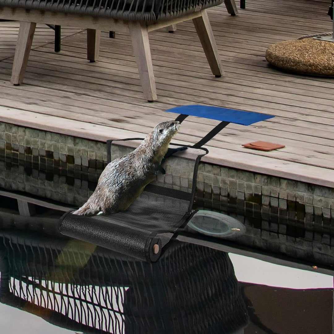 Rettungsrampe für Pool, 2 Stück Fluchtrampe Pool für Tiere, Schwimmender Tierschutz, Schwimmbadzubeh