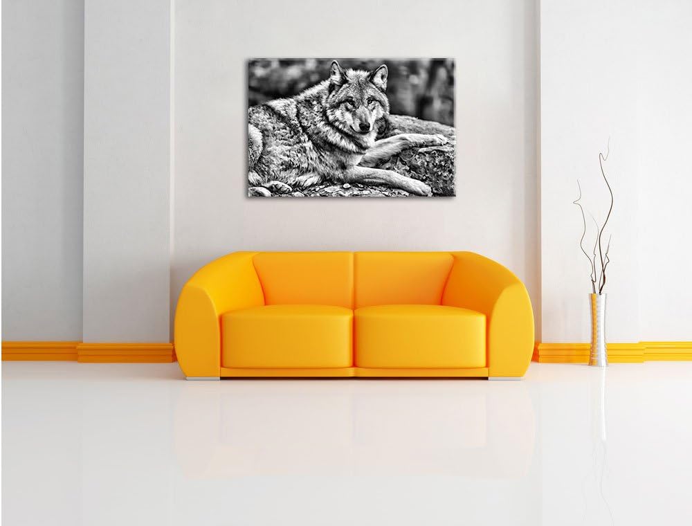 Pixxprint Monocrome, stolzer Wolf auf Stein als Leinwandbild/Grösse: 100x70 / Wandbild/Kunstdruck/fe