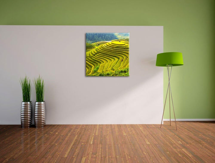 Pixxprint Chinesische Reisplantagen Treppenfelder, Format: 70x70 auf Leinwand, 70x70