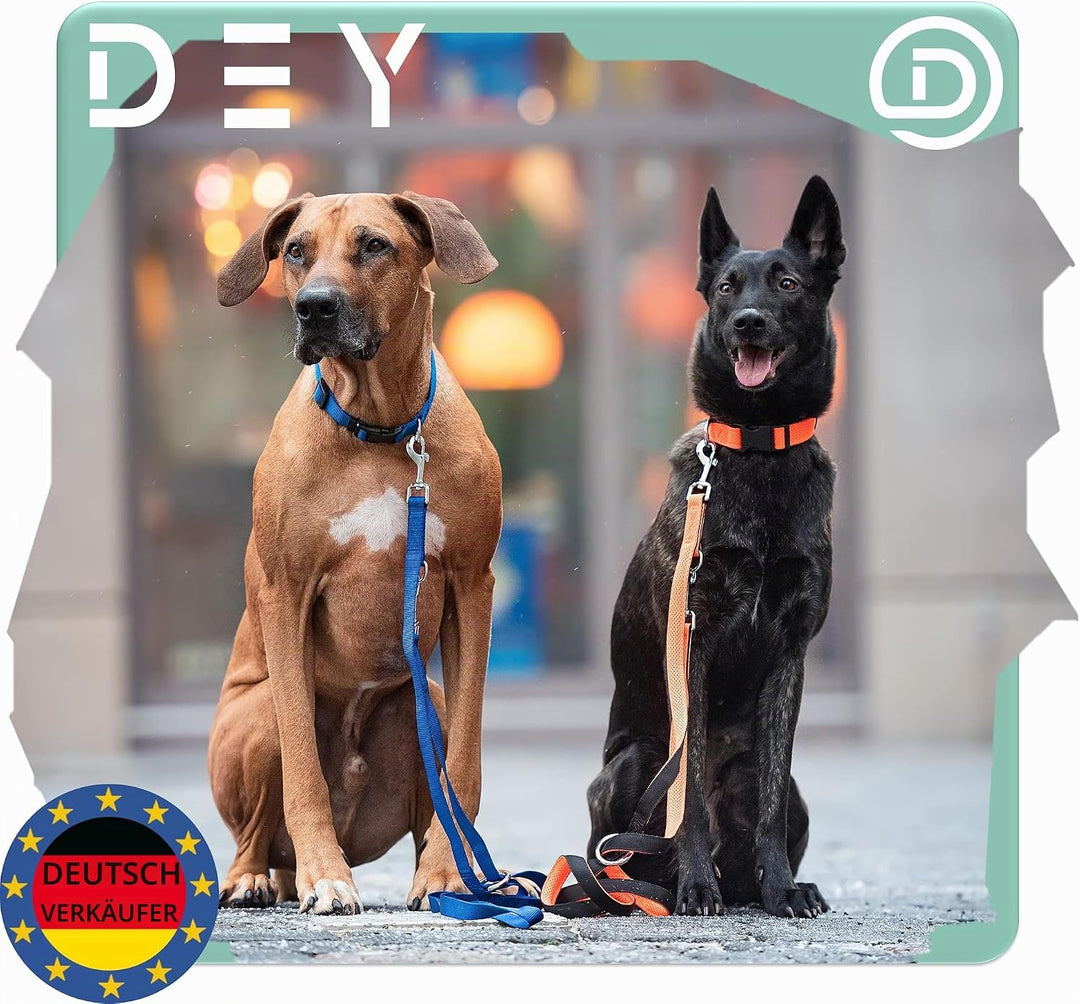DEY - Premium Hundeleine Nylon 2m | 3fach Verstellbar | für Kleine, Mittelgrosse u. Grosse Hunde | v