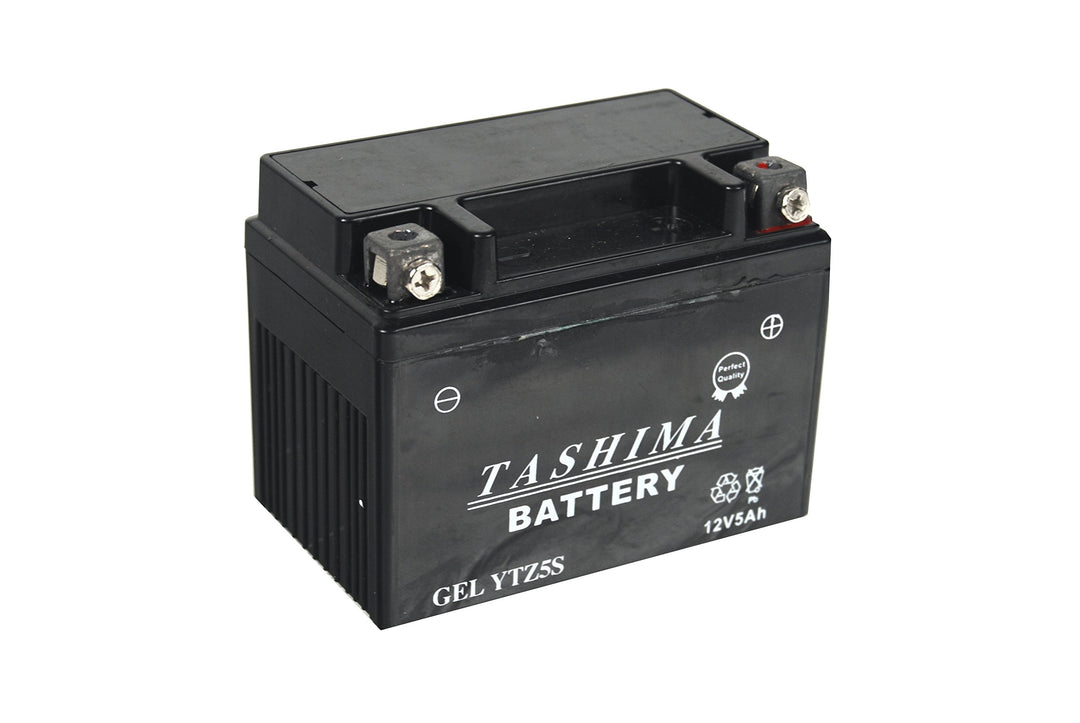 GREENSTAR 12738 Akku Blei Wasserdicht Gel YTZ5S