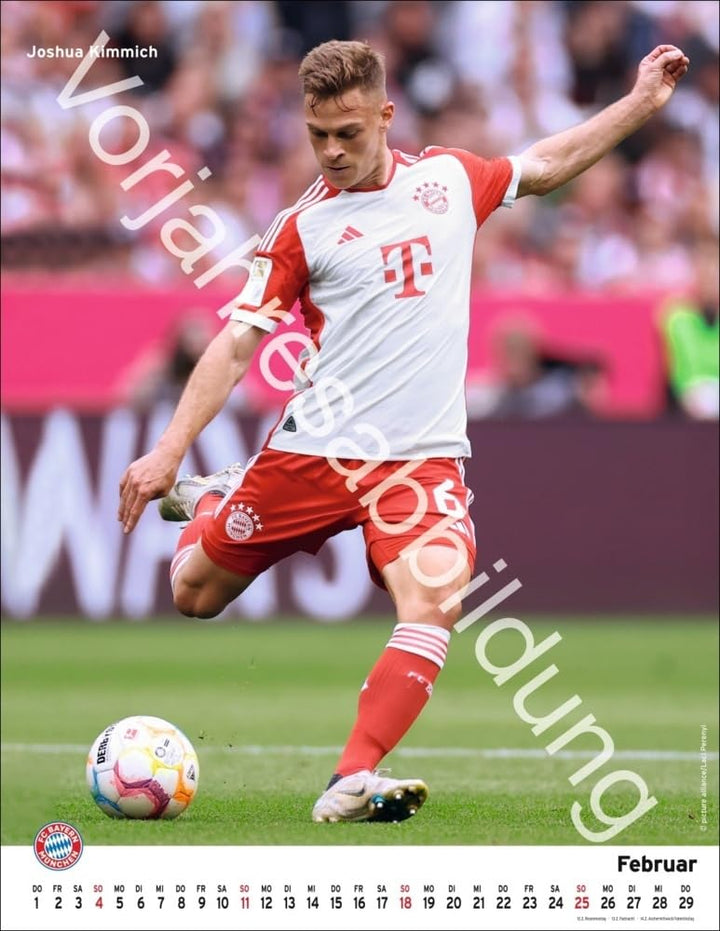 FC Bayern München Posterkalender 2025: Wandkalender mit den besten Spielerfotos des FC Bayern. Tolle