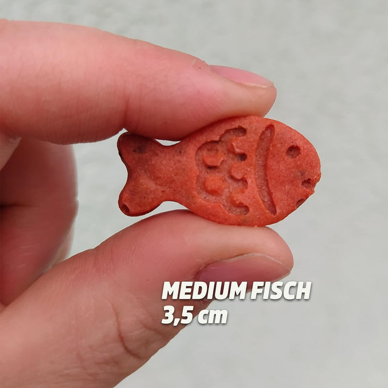 Collory Medium Fisch (3,5cm) Silikon Leckerli Backmatte, Hundekekse selbst backen, Pralinenform, Bon