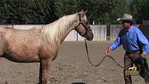 Monty Roberts Doppelter Kopfhalfter, M
