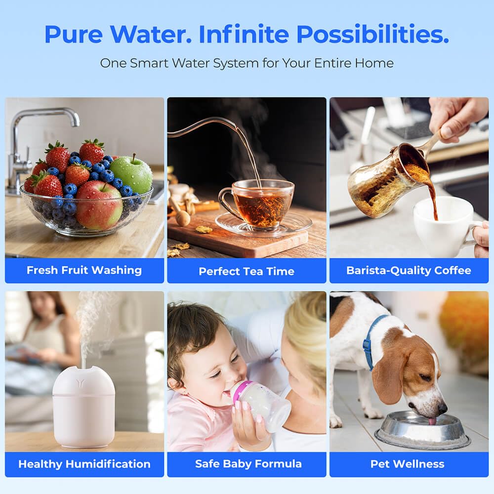 W100 UV Auftisch Umkehrosmoseanlage Wasserfilter, Heisswasserspender, Remineralisierung und pH-Gleic