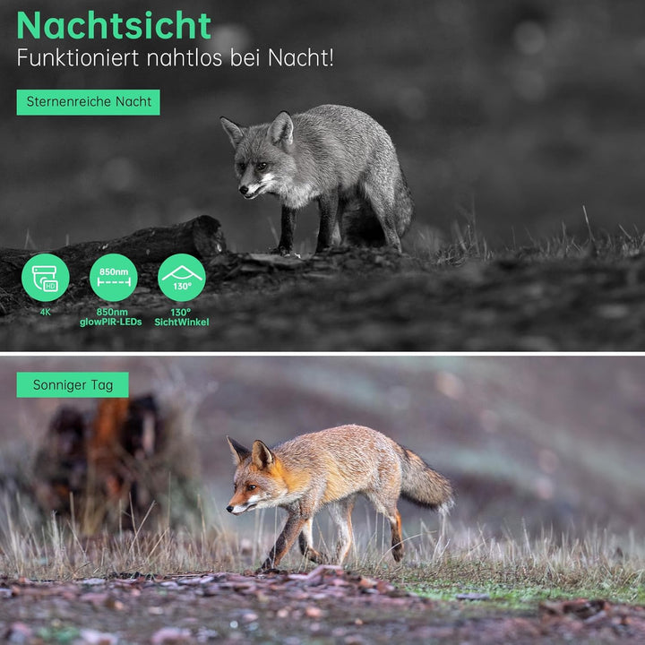 4K 64MP Wildkamera mit Handyübertragung APP, Solar WLAN Bluetooth Eingebaute 5000mAh, 64GB Speicherk