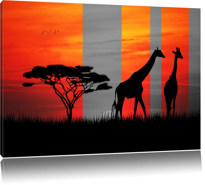 Afrika Giraffen im Sonnenuntergang schwarz/weiss Format: 100x70 auf Leinwand, XXL riesige Bilder fer