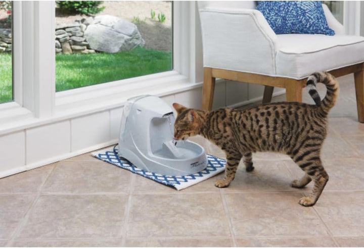 PetSafe - Drinkwell Platinum Wasserbrunnen für Hunde und Katzen, 5 l, Wasserspender für Haustiere, e